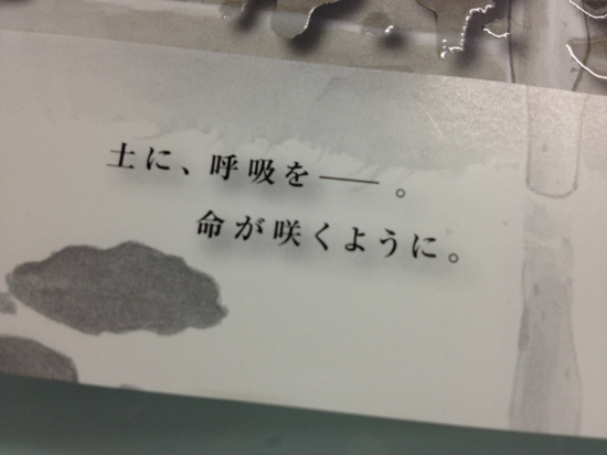 バカボンド36巻