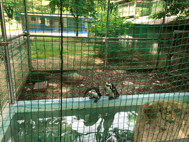 福知山動物園
