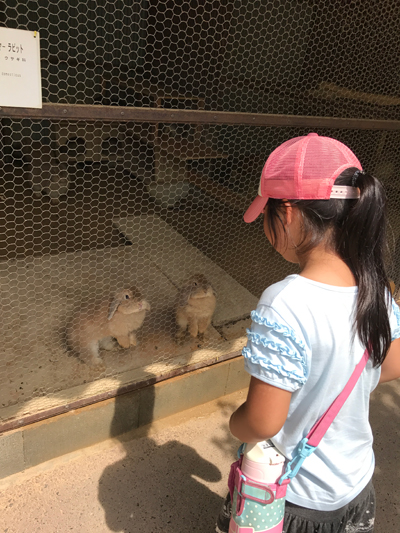 福知山動物園