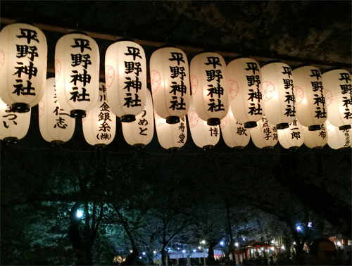 平野神社の夜桜