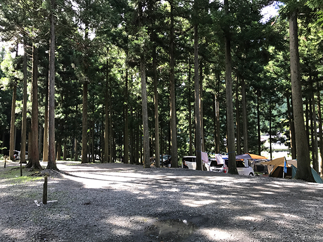 美山キャンプ