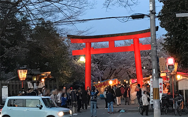 平野神社　夜桜