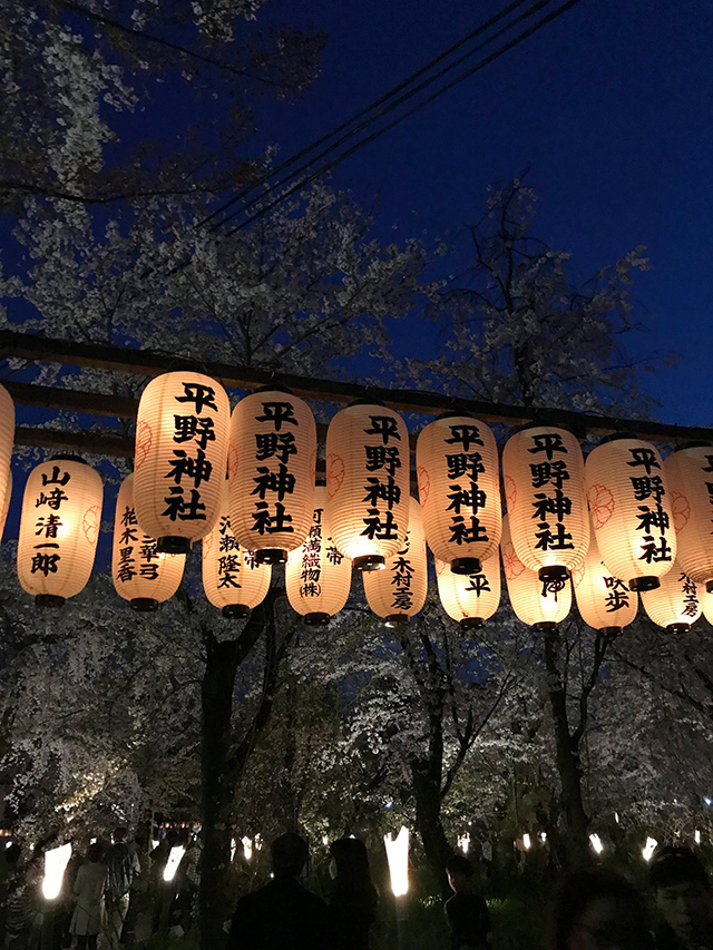平野神社　夜桜
